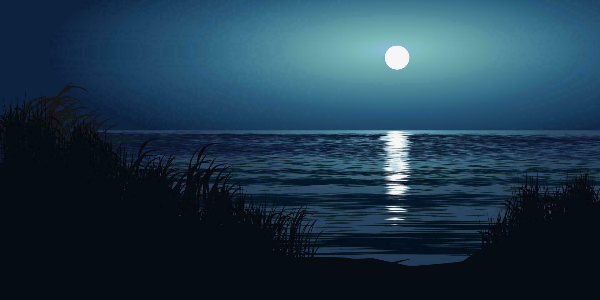 hermosa playa paisaje con lleno Luna. mar noche paisaje vector