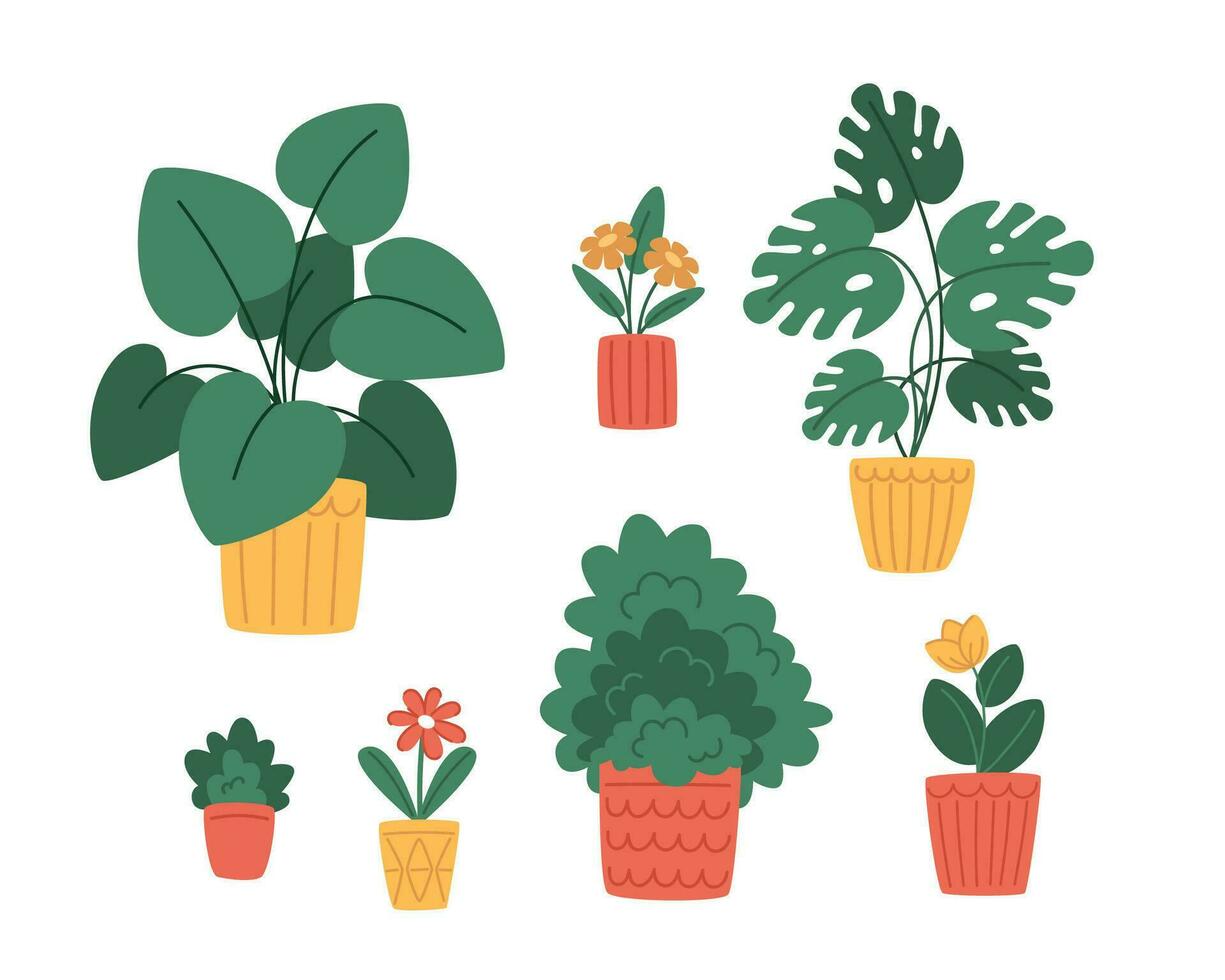 Set of indoor plants in modern pots in flat style vector