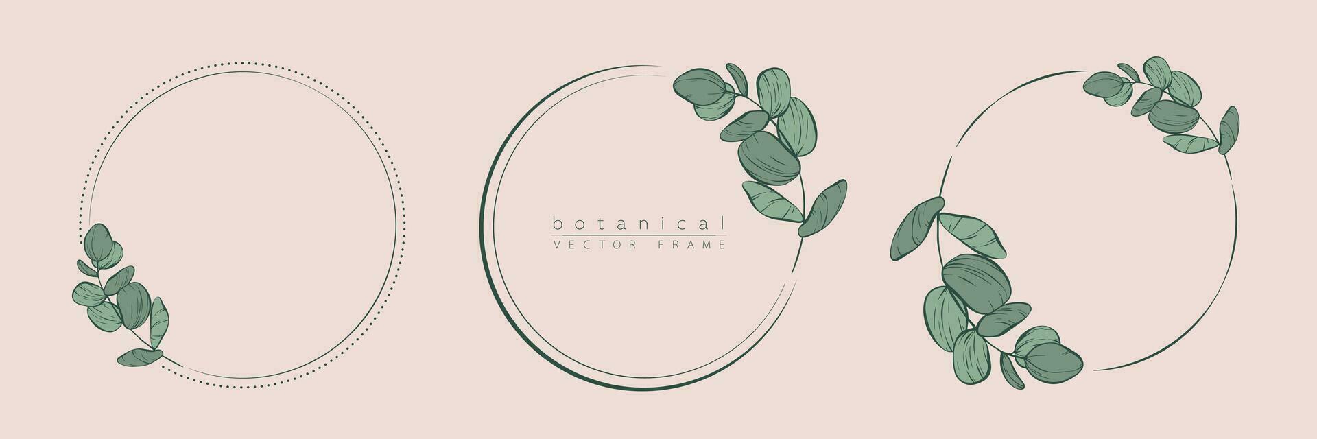 Botanical eucalyptus circle frame set. Hand drawn round line border, leaves and flowers for wedding invitation and cards, logo design, social media and posters template. Elegant minimal vector