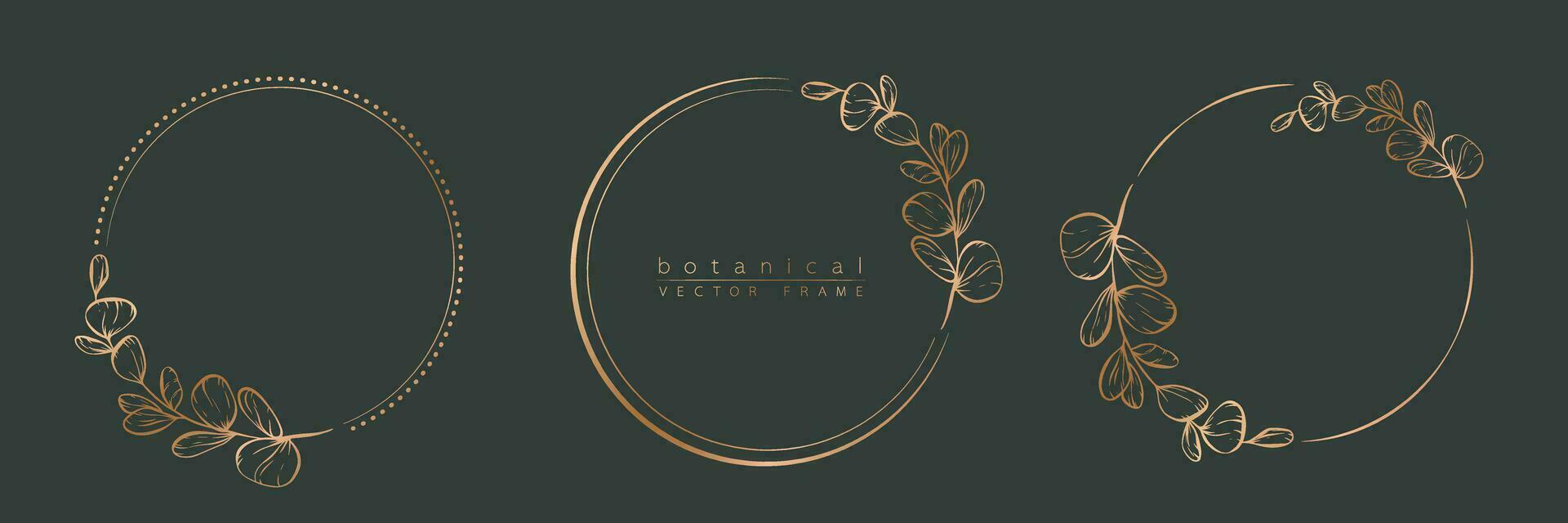 Botanical eucalyptus circle frame set. Hand drawn round line border, leaves and flowers for wedding invitation and cards, logo design, social media and posters template. Elegant minimal vector