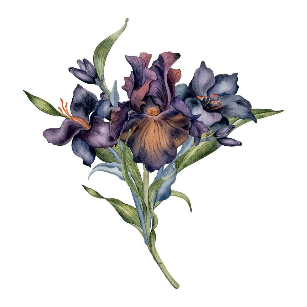 acuarela manojo de negro flores y hojas aislado en blanco. gótico floral ilustración mano dibujado. oscuro botánico Boda decoración con lirio, iris. elemento para papelería, tarjeta, impresión vector