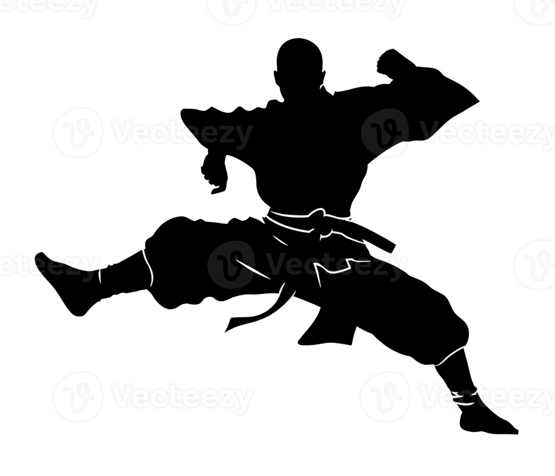 ai gerado Preto silhueta do uma lutador mostrando kung fu chutes transparente em fundo. ai gerado png