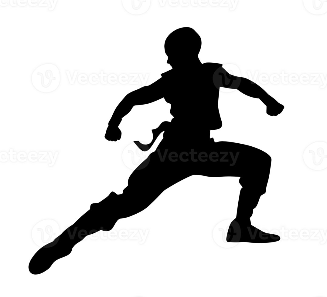 ai gerado Preto silhueta do uma lutador mostrando kung fu chutes transparente em fundo. ai gerado png