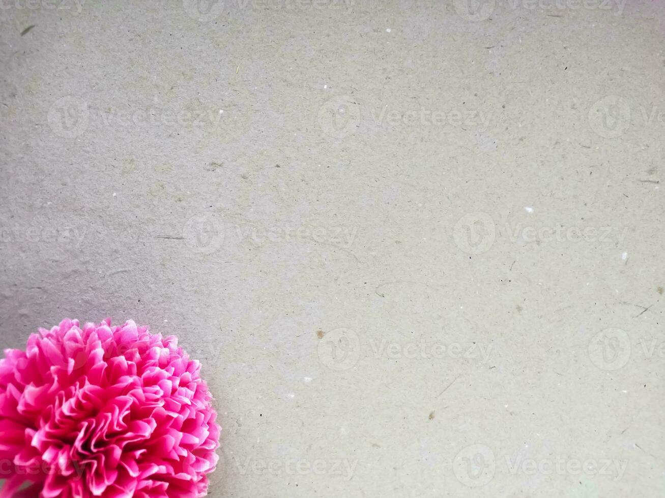 Pink dahlia flower on gray paper background with copy space. photo