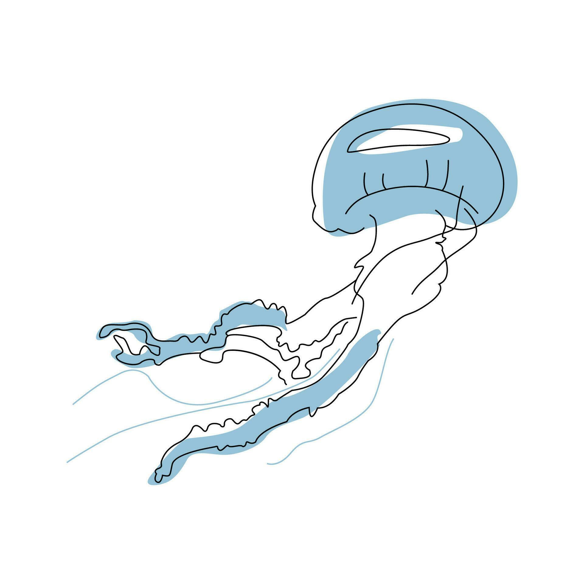 Simple line graphic illustration with sea jellyfish 37046037 Vector Art ...