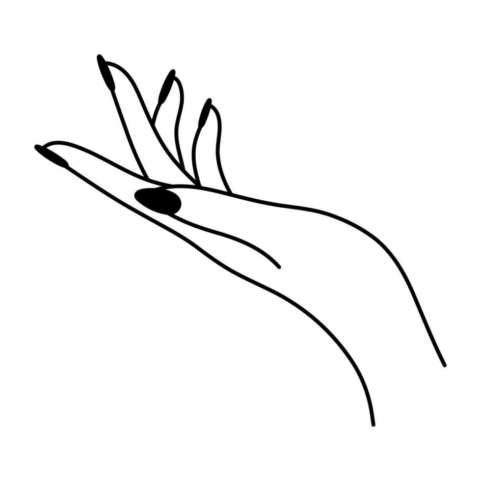 hembra mano gesto. amable toque lineal icono. no verbal idioma. sencillo vector minimalista ilustración. gráfico elemento aislado en blanco antecedentes. elegante mano palmera. mujer brazo.