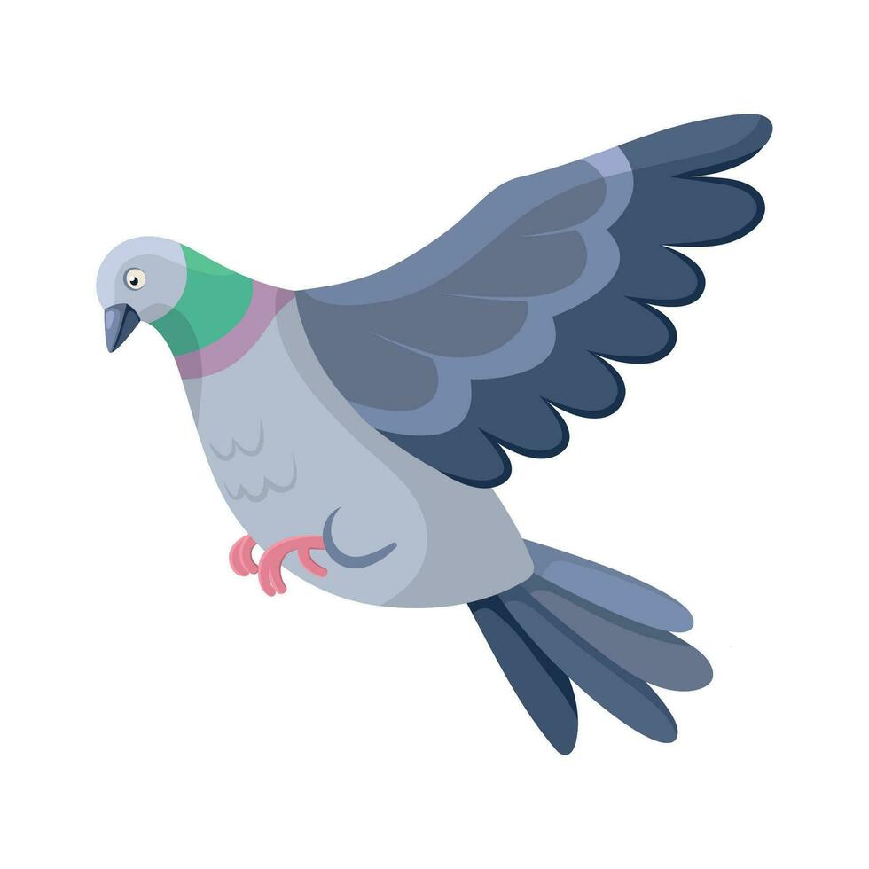 Cartoon flat illustration of pigeon bird in flight vector