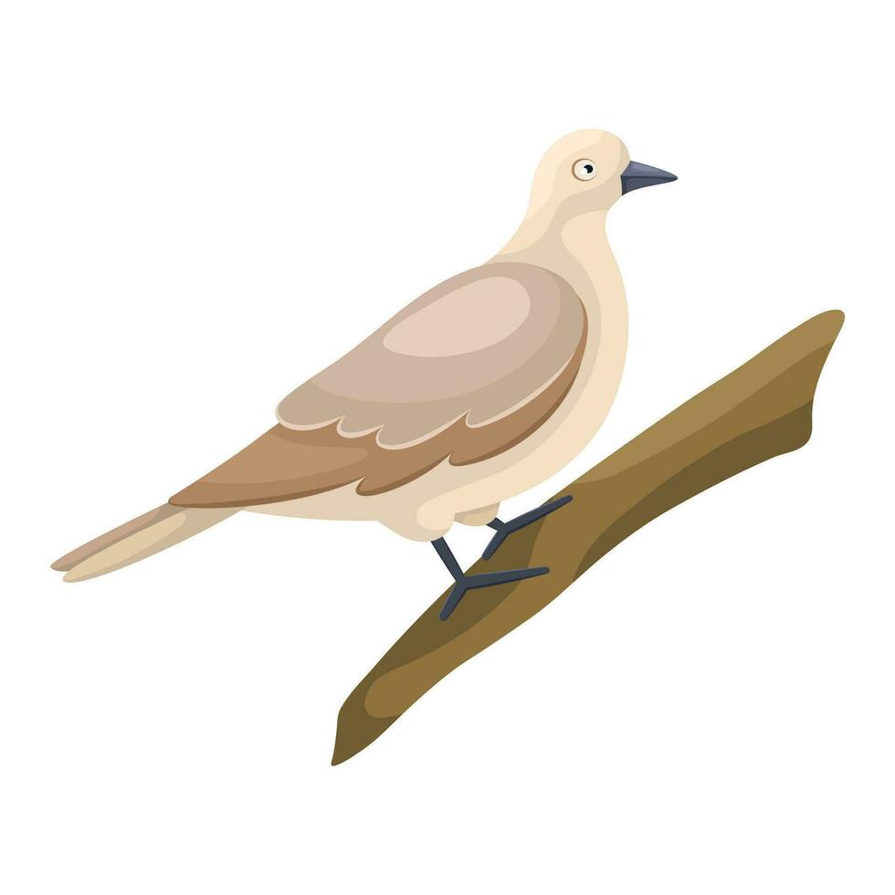 Cartoon flat illustration of wild dove bird sitting on a branch vector