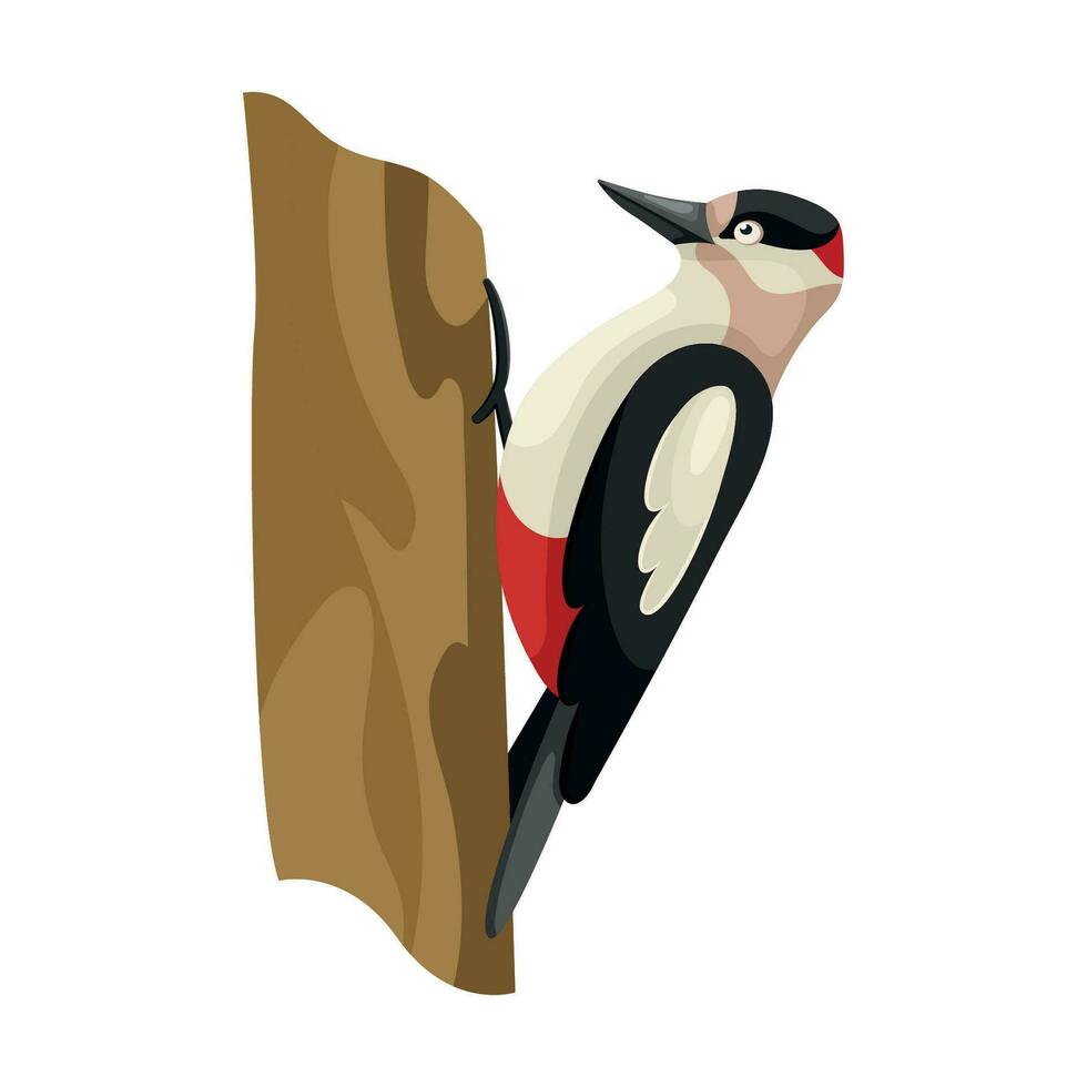 Cartoon flat illustration of woodpecker bird sitting on a tree vector