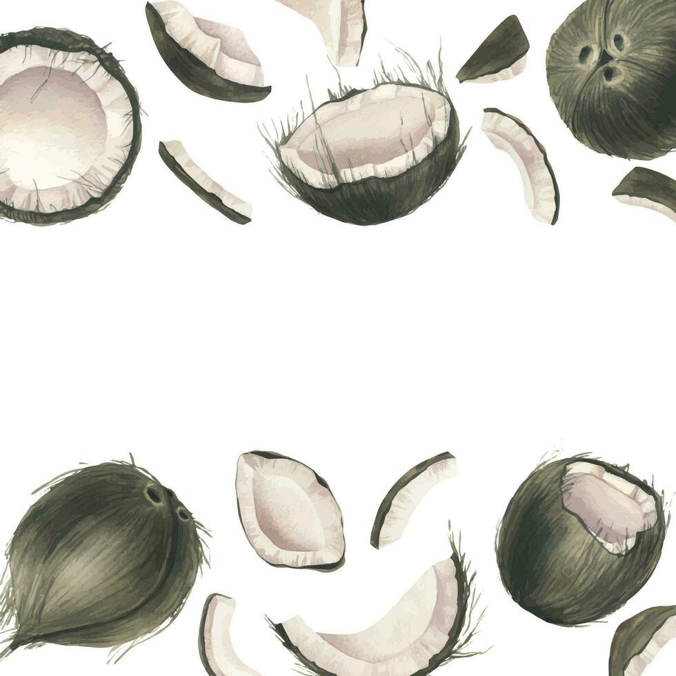 Coconuts whole, halves and pieces. Hand drawn watercolor illustration. Template frame isolated from the background vector