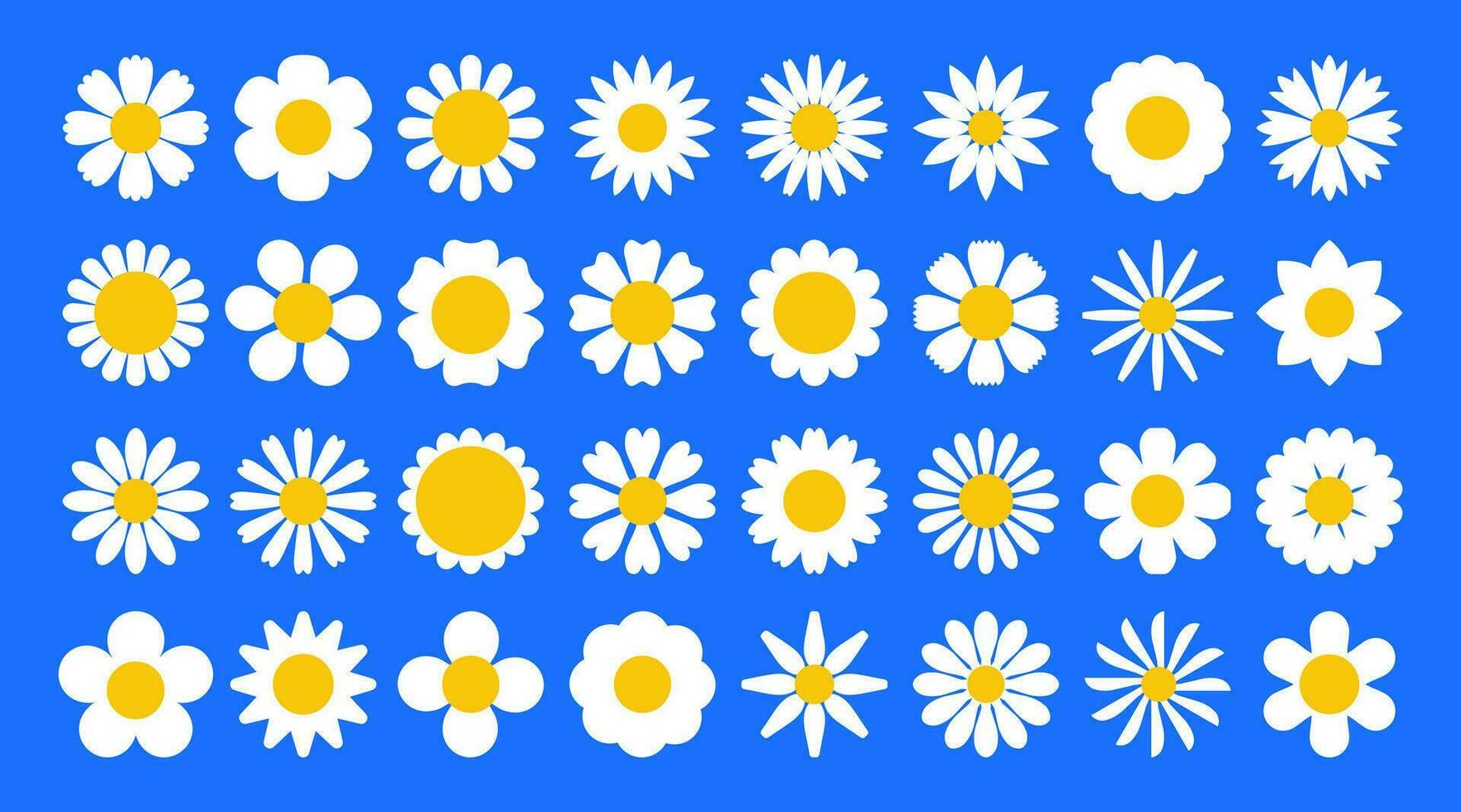 Daisy flower. Chamomile flat icon, cartoon white spring flowers. Botanical summer elements, natural bloom petal. Floral design vector set