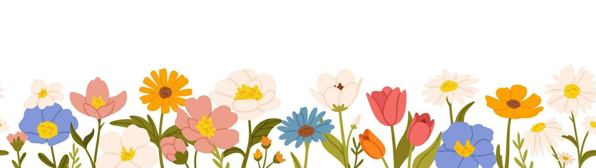 Spring flower border. Seamless blooming colorful wildflowers horizontal frame border. Natural meadow fresh flowers and plants, botanical floral vector illustration