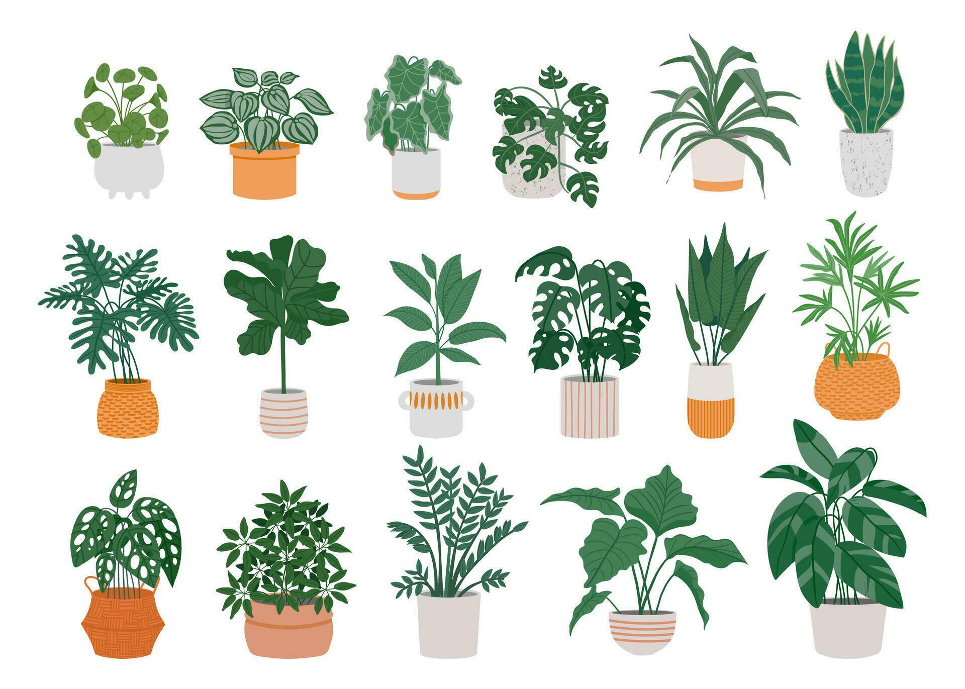 Home potted plants. Cartoon houseplants in pots for interior ...