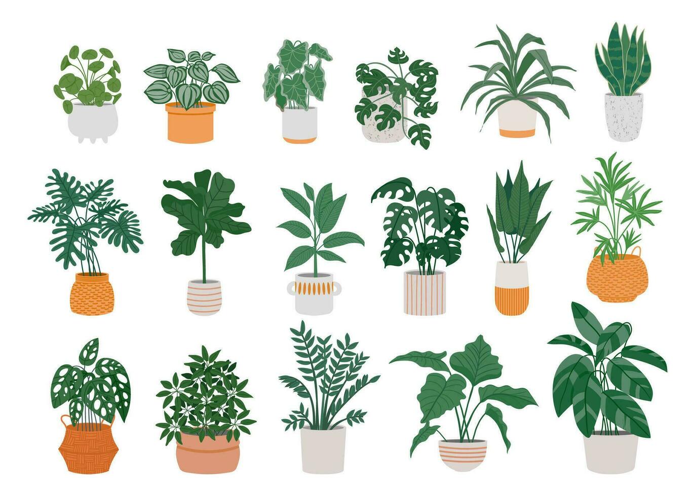 Home potted plants. Cartoon houseplants in pots for interior. Decorative monstera, palm in pot, ficus in basket, pilea in vase. Indoor green plants, foliage, leaves vector set