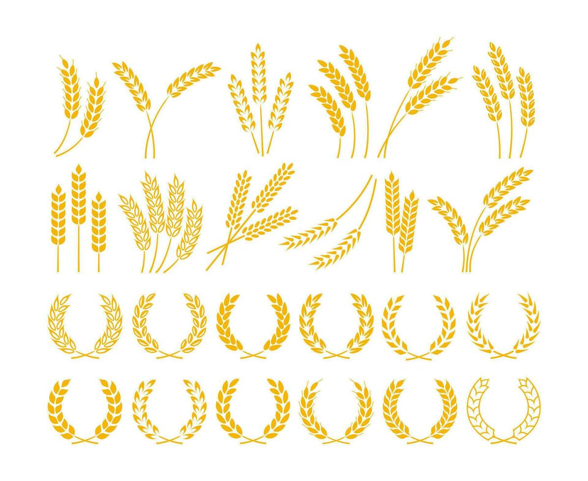 Wheat and barley ears. Wheat wreaths with ripe yellow grains, rice and oats stalk, rye grains ear silhouettes. Cereals organic food, beer and bread vector logo