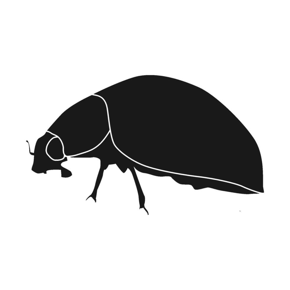 ladybug icon vector