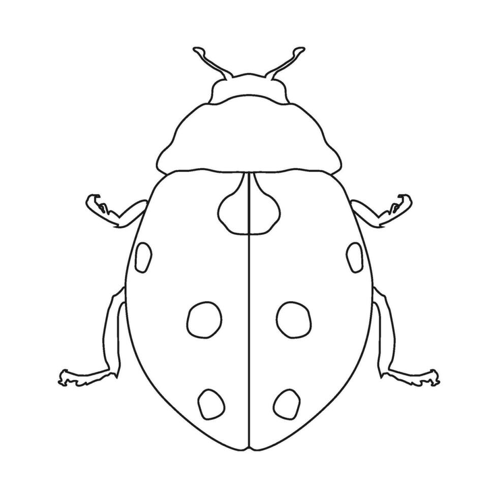 ladybug icon vector