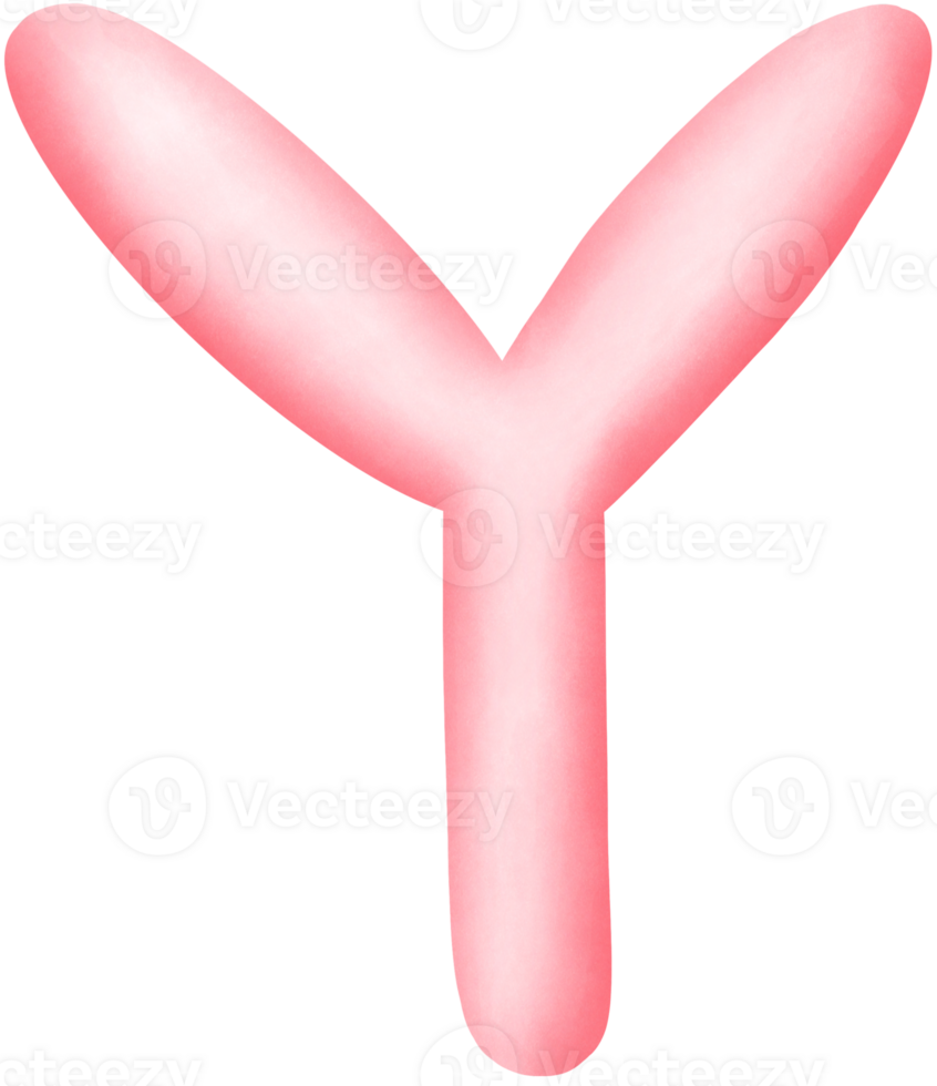 English alphabet Y png