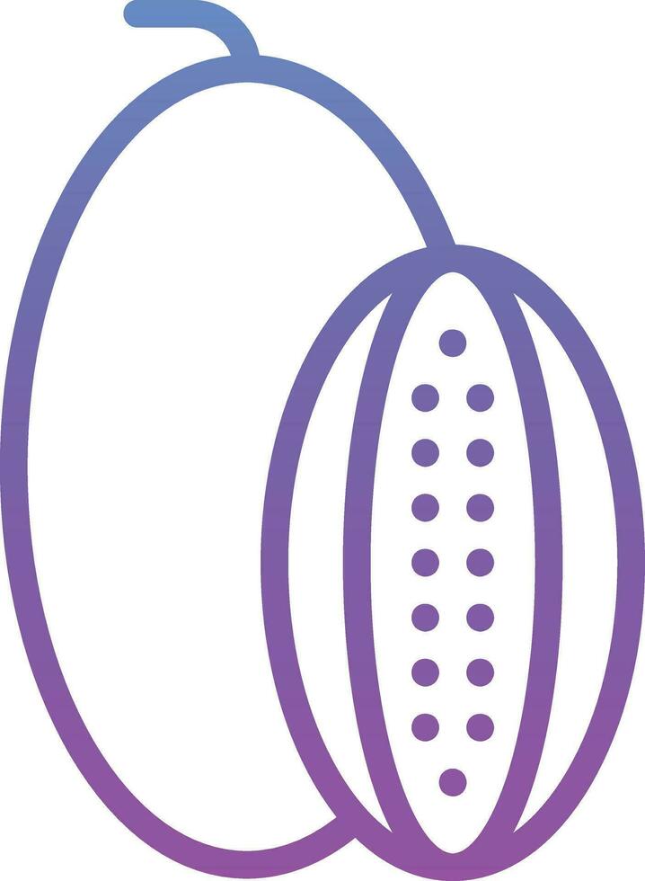 Rockmelon Vector Icon