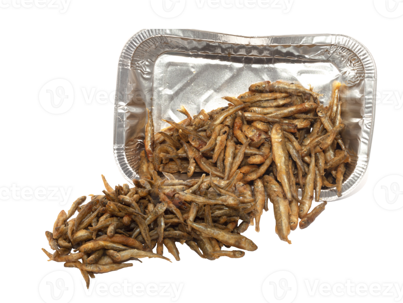 fried fish acquarelle png