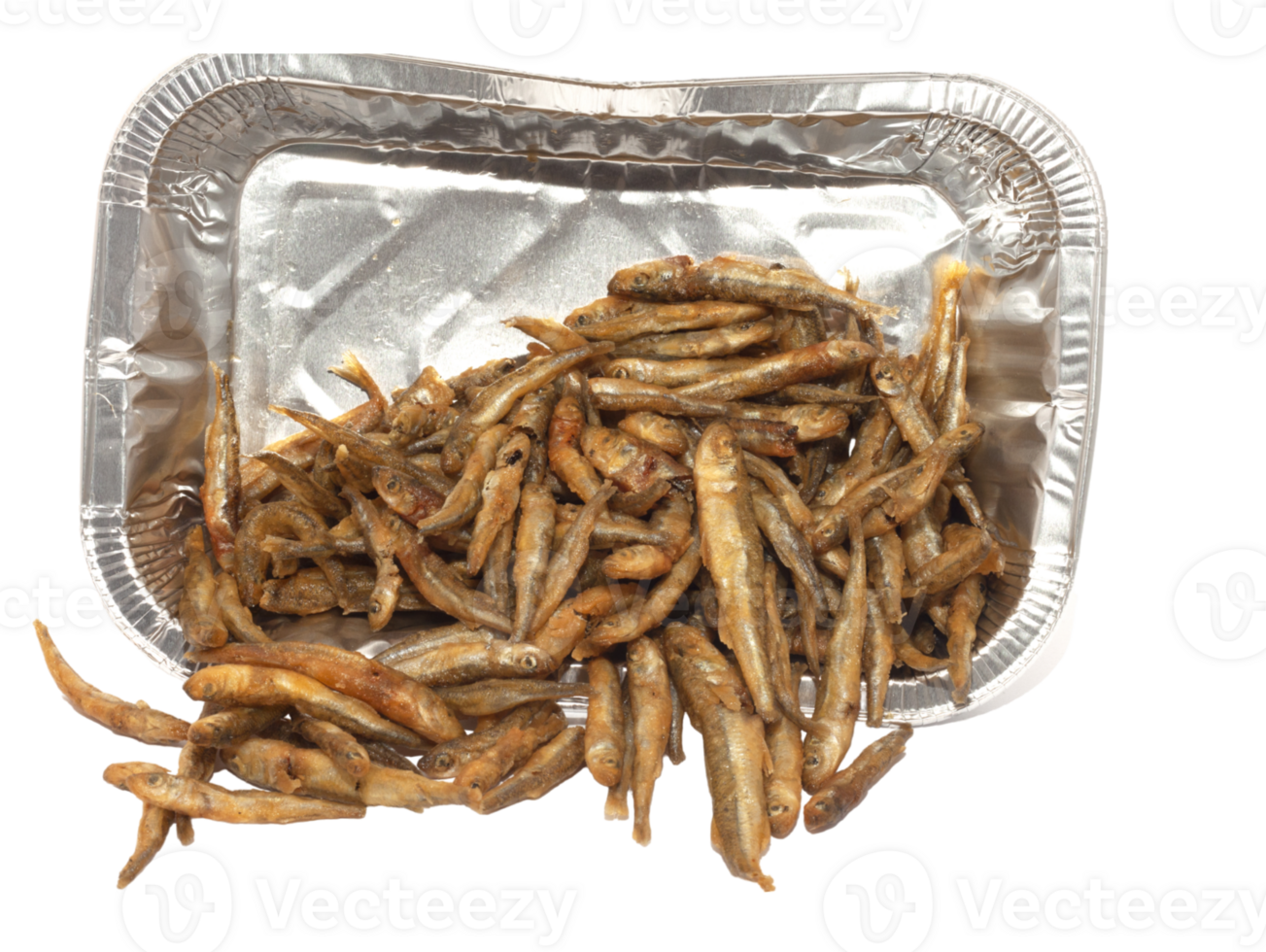 fried fish acquarelle png