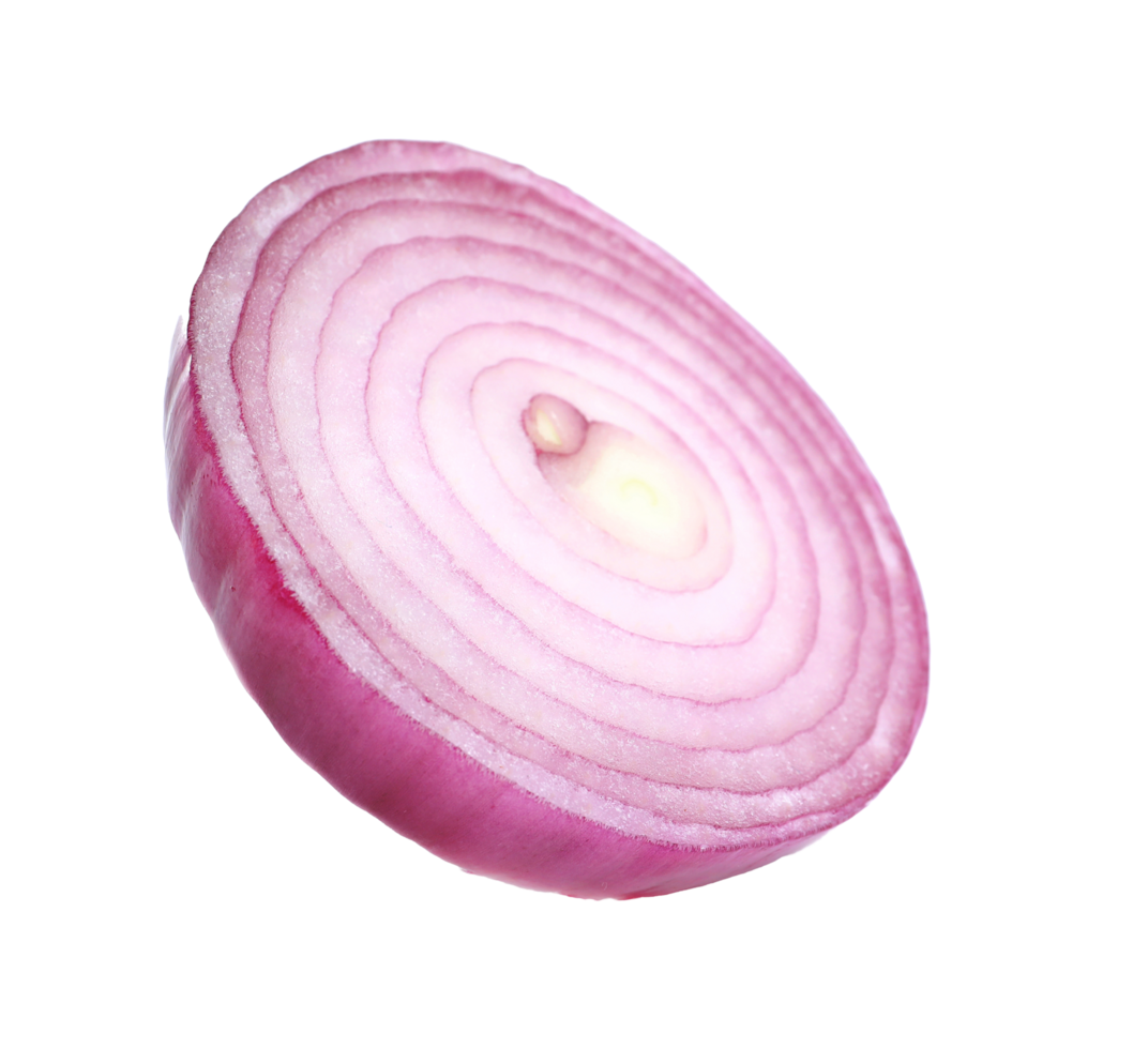 fresh red onion isolated png