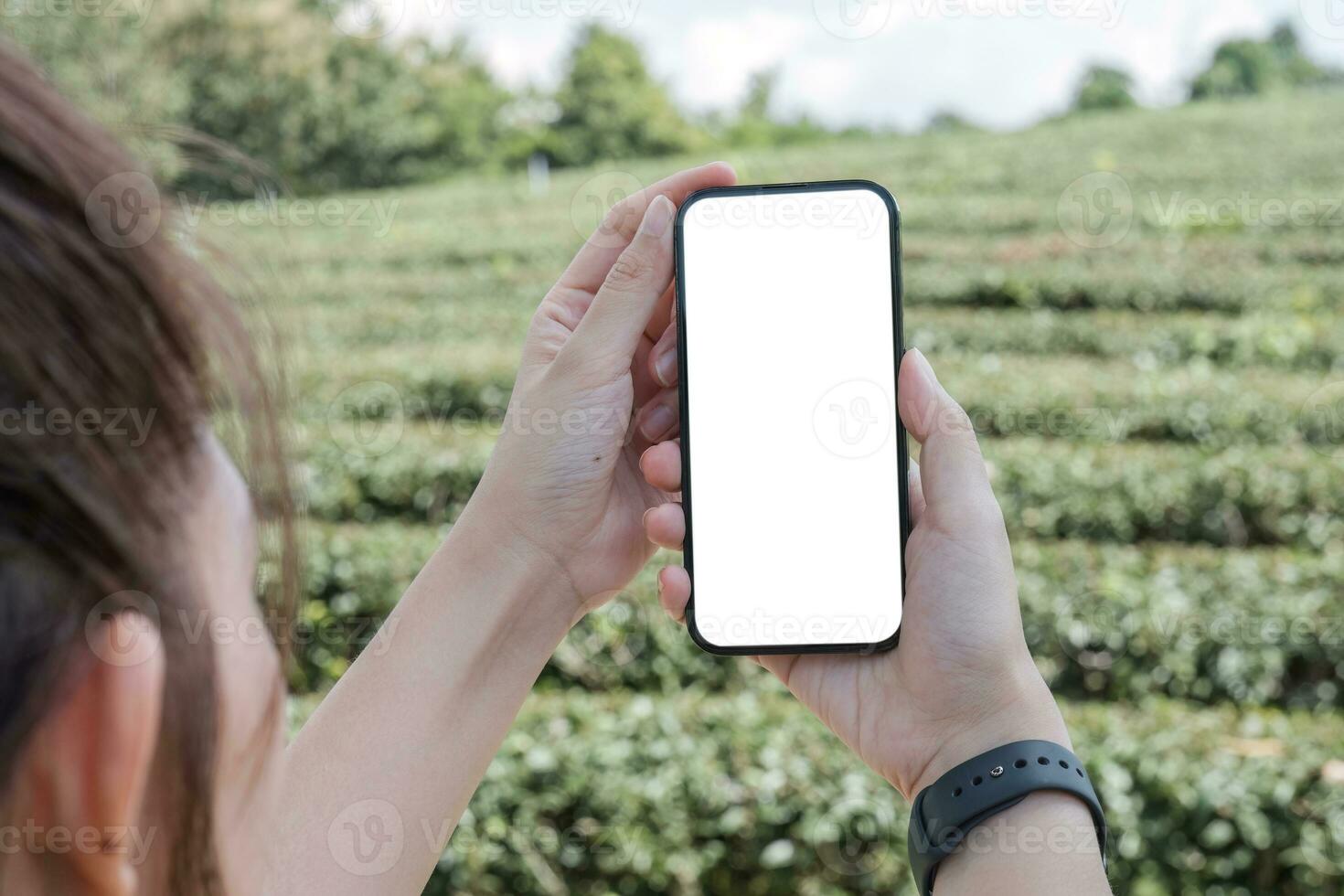 woman using Smartphone. Blank screen mobile phone for graphic display montage.networking service. photo