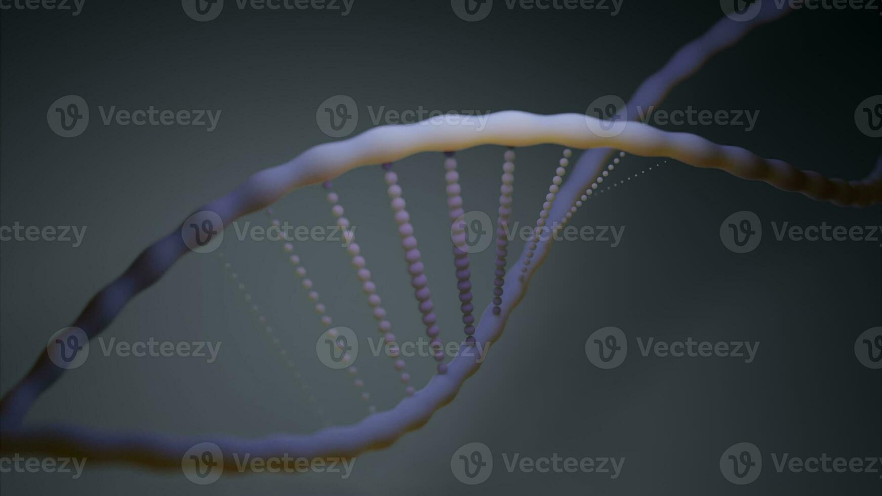 Black background with a DNA molecule. Design. Color animation in an approximate format moving in different directions. photo