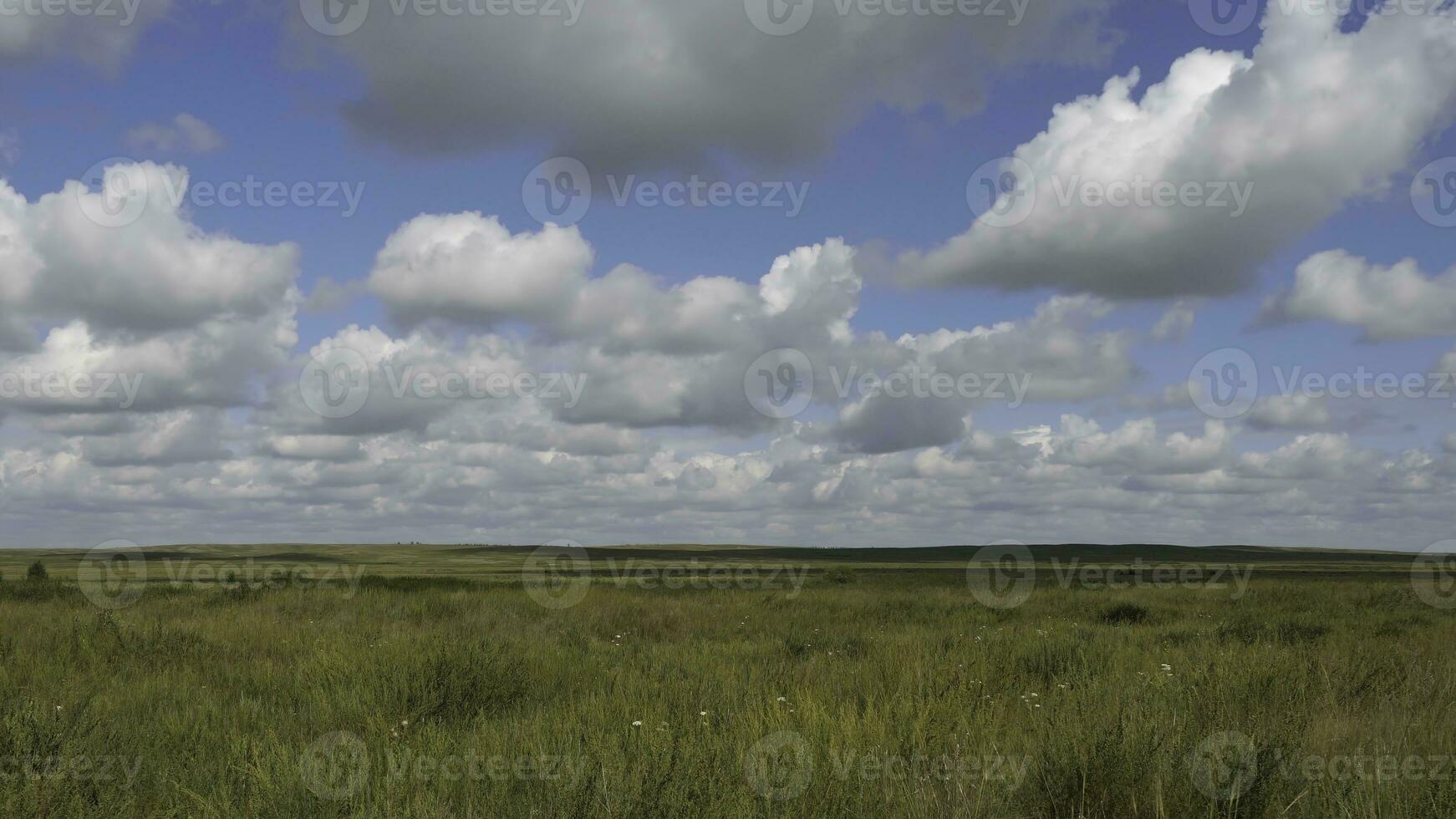 verano paisaje con campo de hierba, azul cielo. verde césped campo paisaje con fantástico nubes en el antecedentes. genial verano paisaje foto