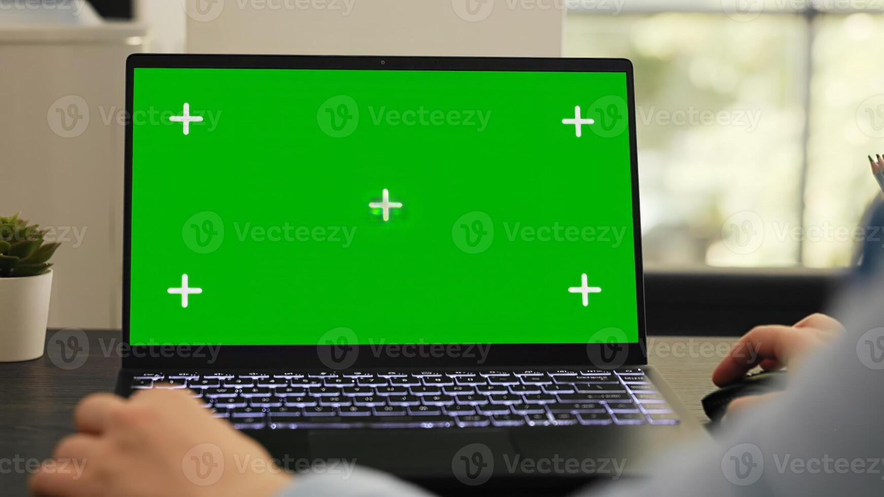 Female manager works on laptop running isolated greenscreen template, checking pc with blank mockup display. Young adult working on startup tasks using chromakey copyspace layout. photo