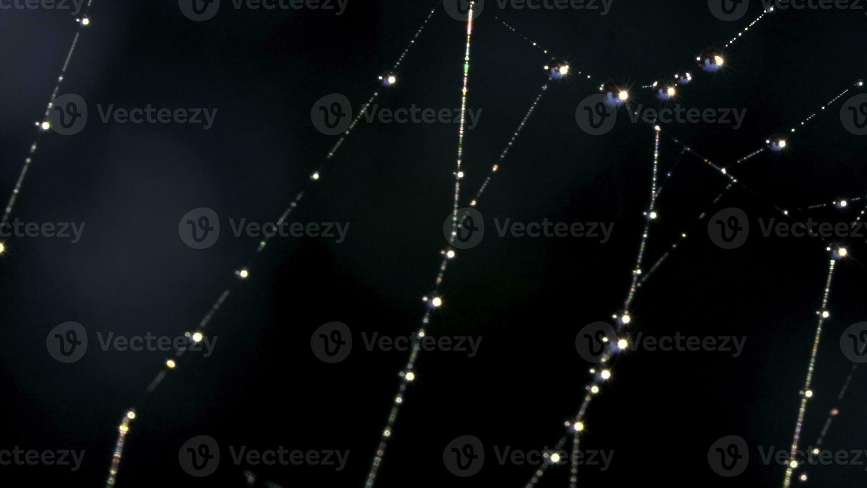 Close-up of spider web with beautiful dew. Creative. Beautiful delicate spider web with dew drops after rain. Elegant spider web with dew on dark blurred background of meadow. Macrocosm of summer photo