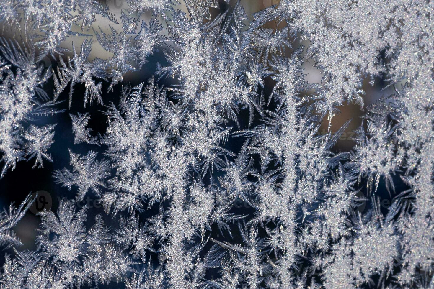 frosty patterns on the window frosty background Ice on a window black white photo