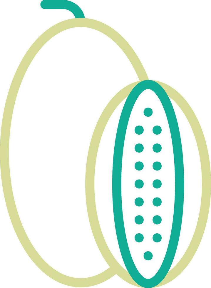 Rockmelon Vector Icon