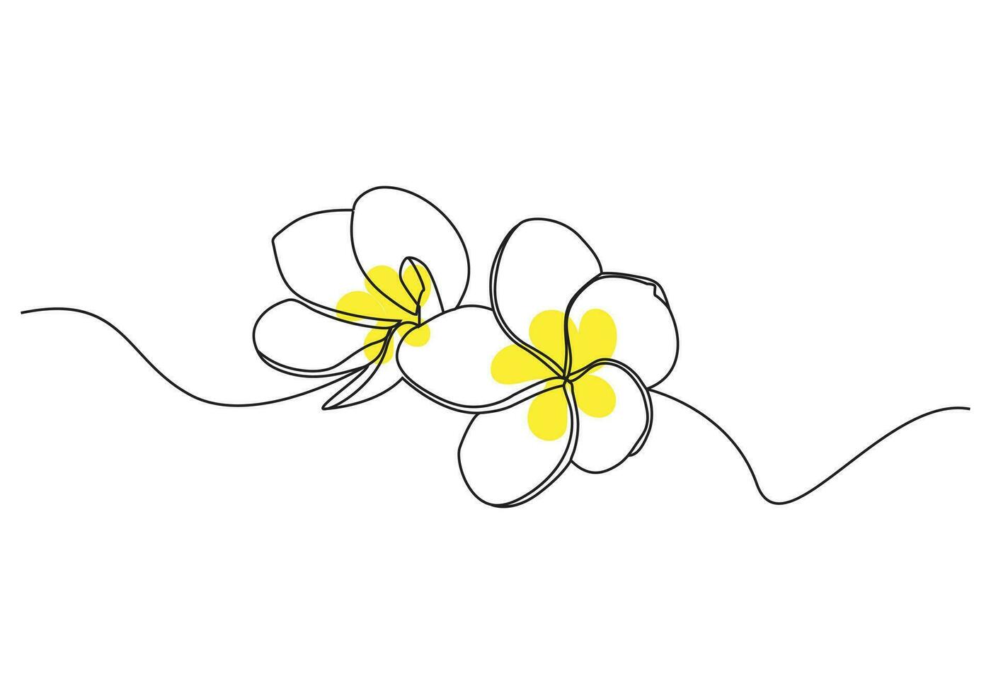 plumeria flores en continuo uno línea Arte dibujo. frangipani florecer. vector ilustración aislado en blanco.