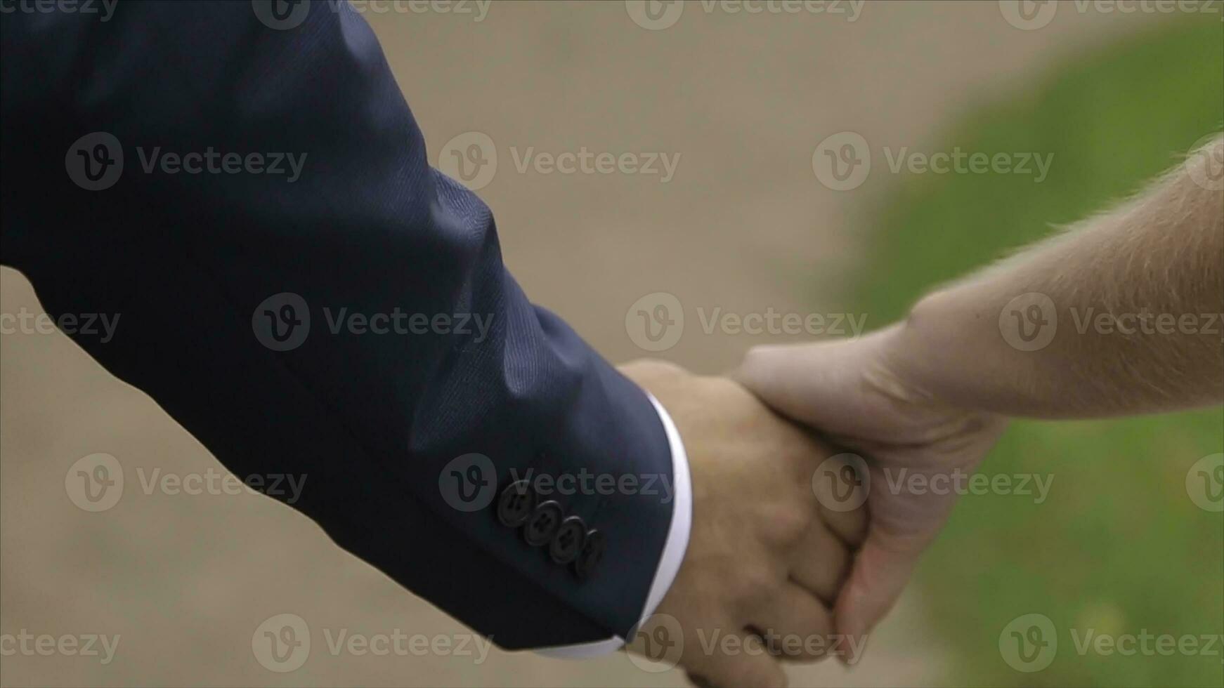 Young newlyweds walking outside. The bride and groom walk together in the Park in winter or summer and holding hands. photo