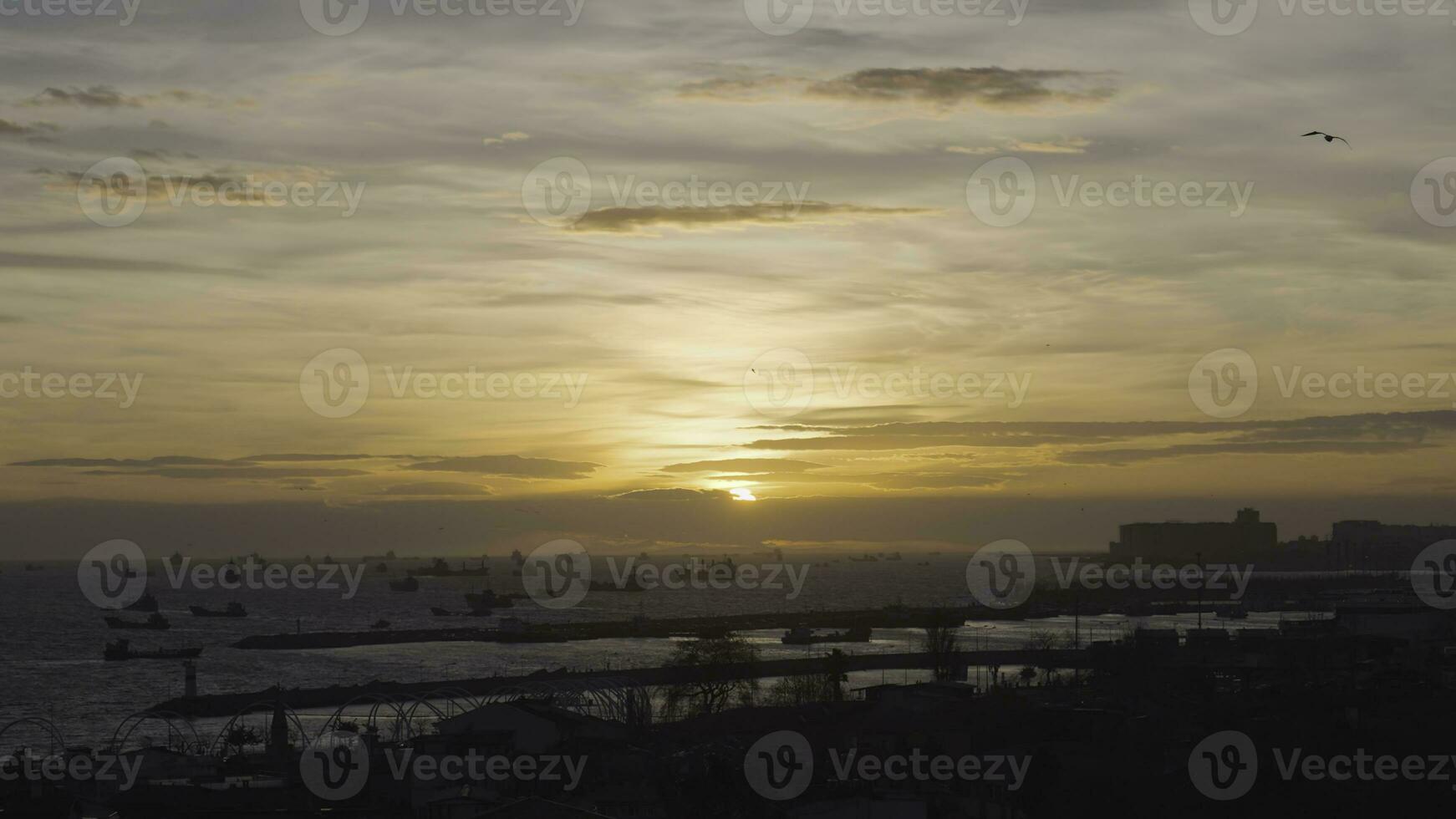 Sea port for cargo ships on background of sunset. Action. Many different ships float in sea off coast at sunset. Sea shipping port with seagulls on background of sunset horizon photo