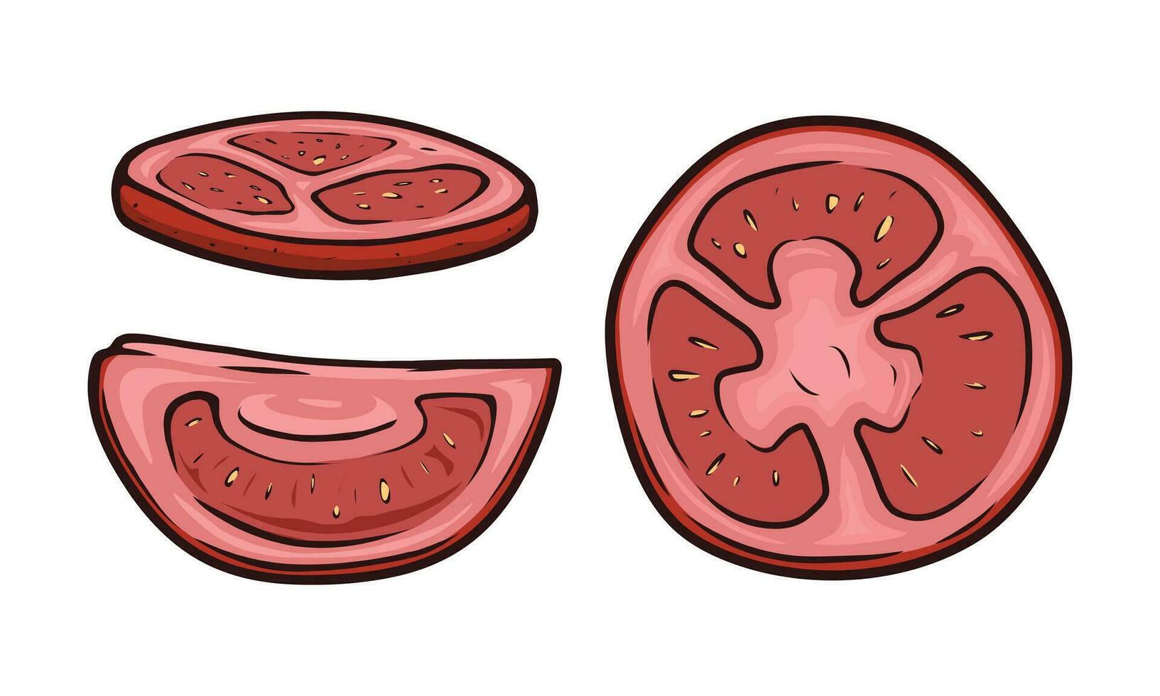 Sliced tomato vector drawing set