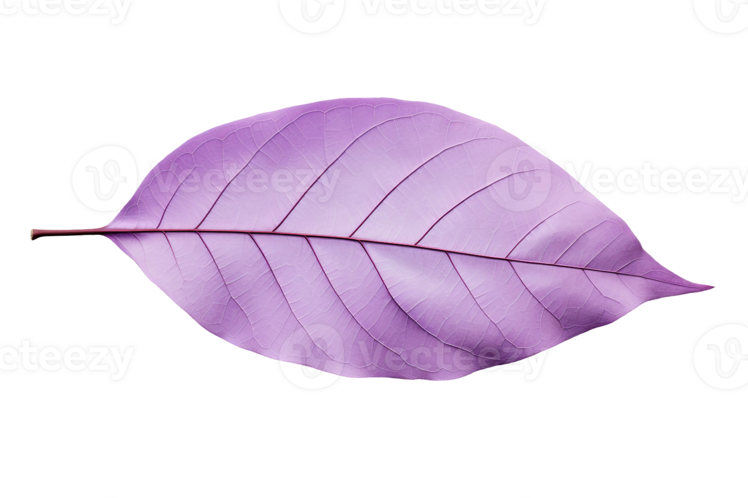 AI generated Lilac Leaf Elegance on transparent background. png