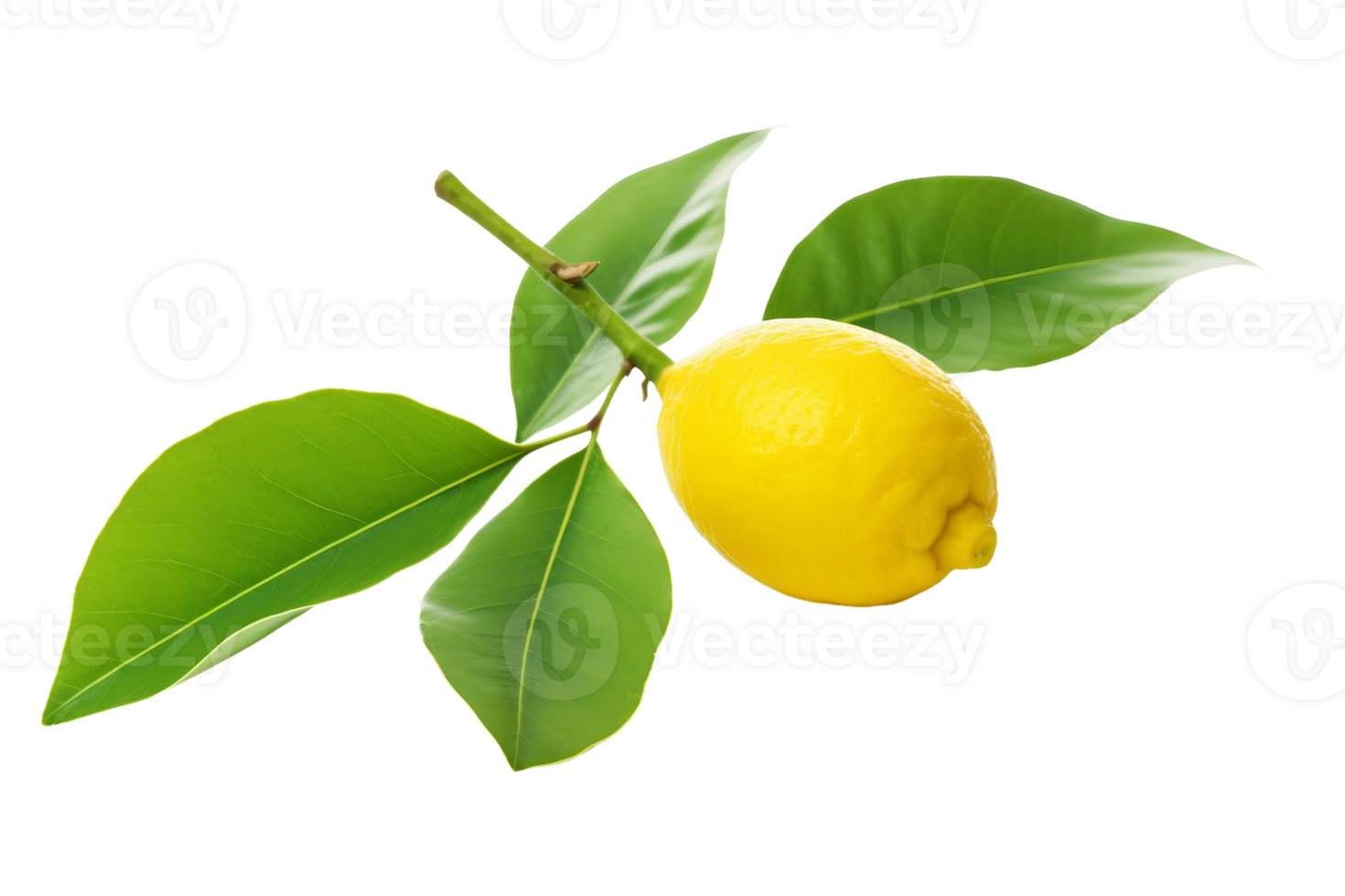 AI generated Lemon Leaf Elegance on transparent background. png