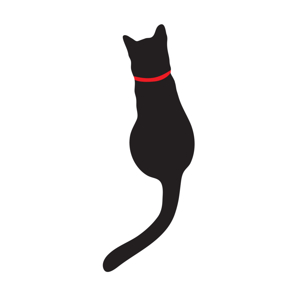 black cat on the transparent background png