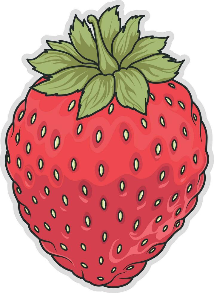 strawberry vector illustration without background