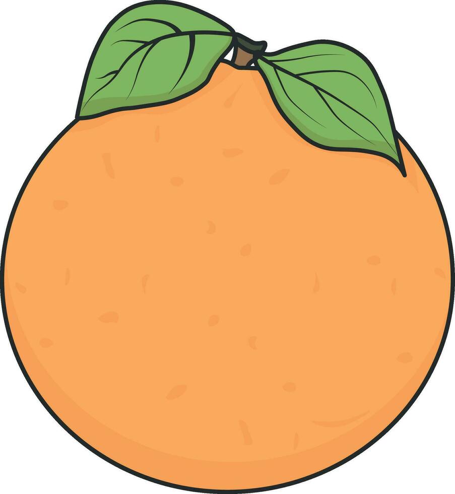 vector drawing orange or tangerine without background