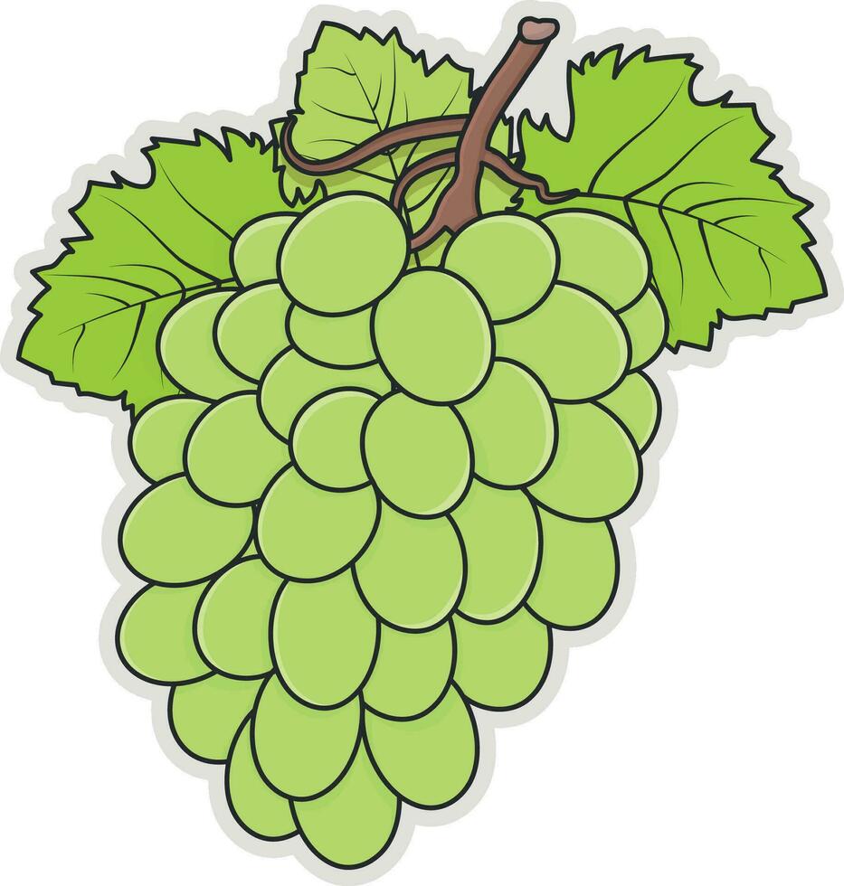 bunch of grapes vector