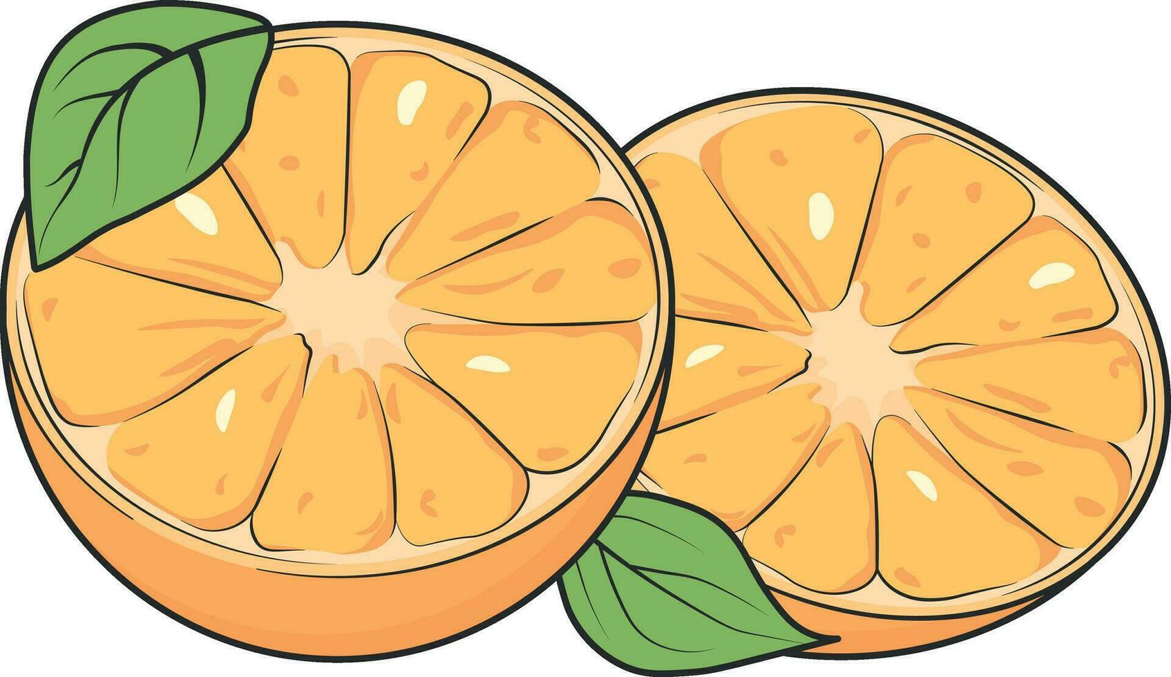 vector drawing orange or tangerine without background