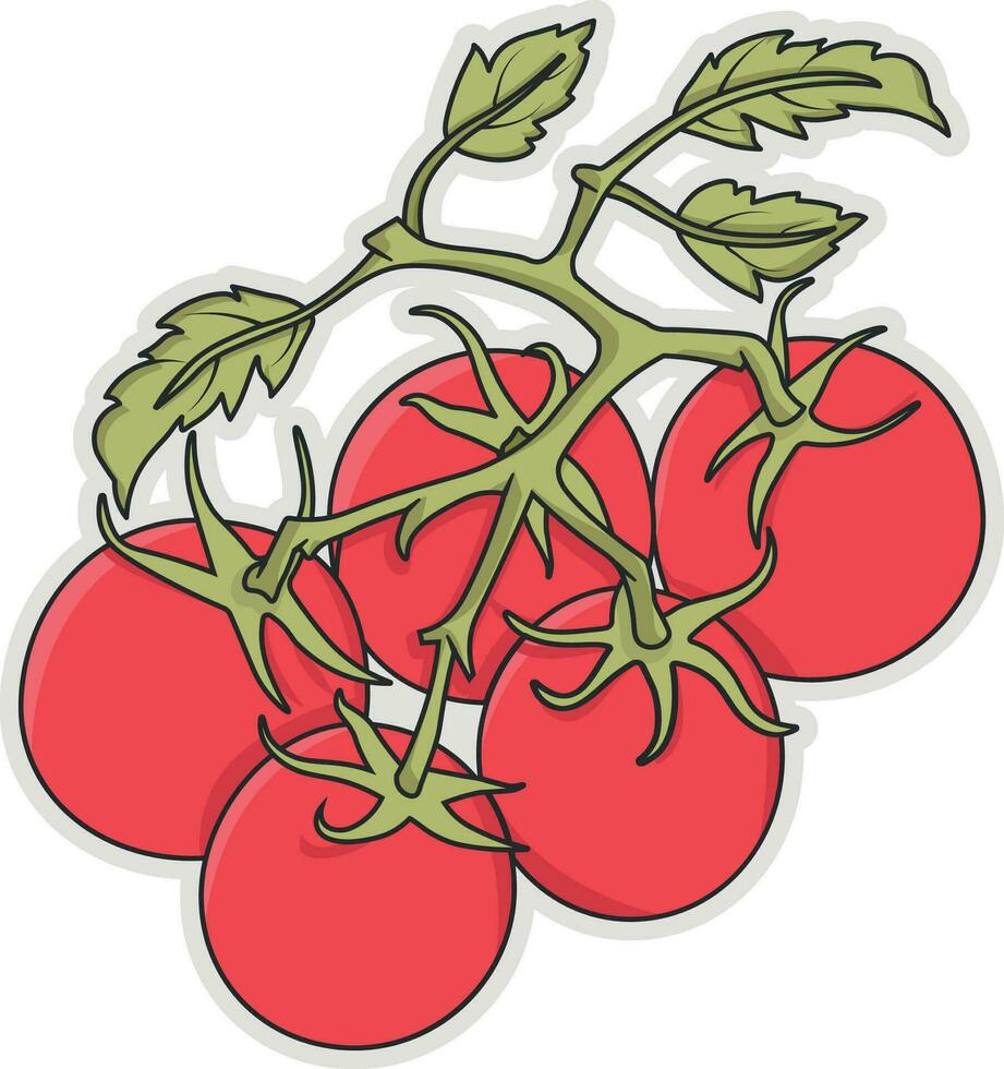 Ilustración de vector de tomates
