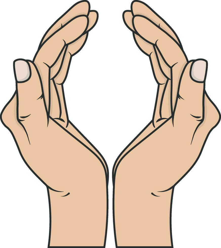 hand of the person vector