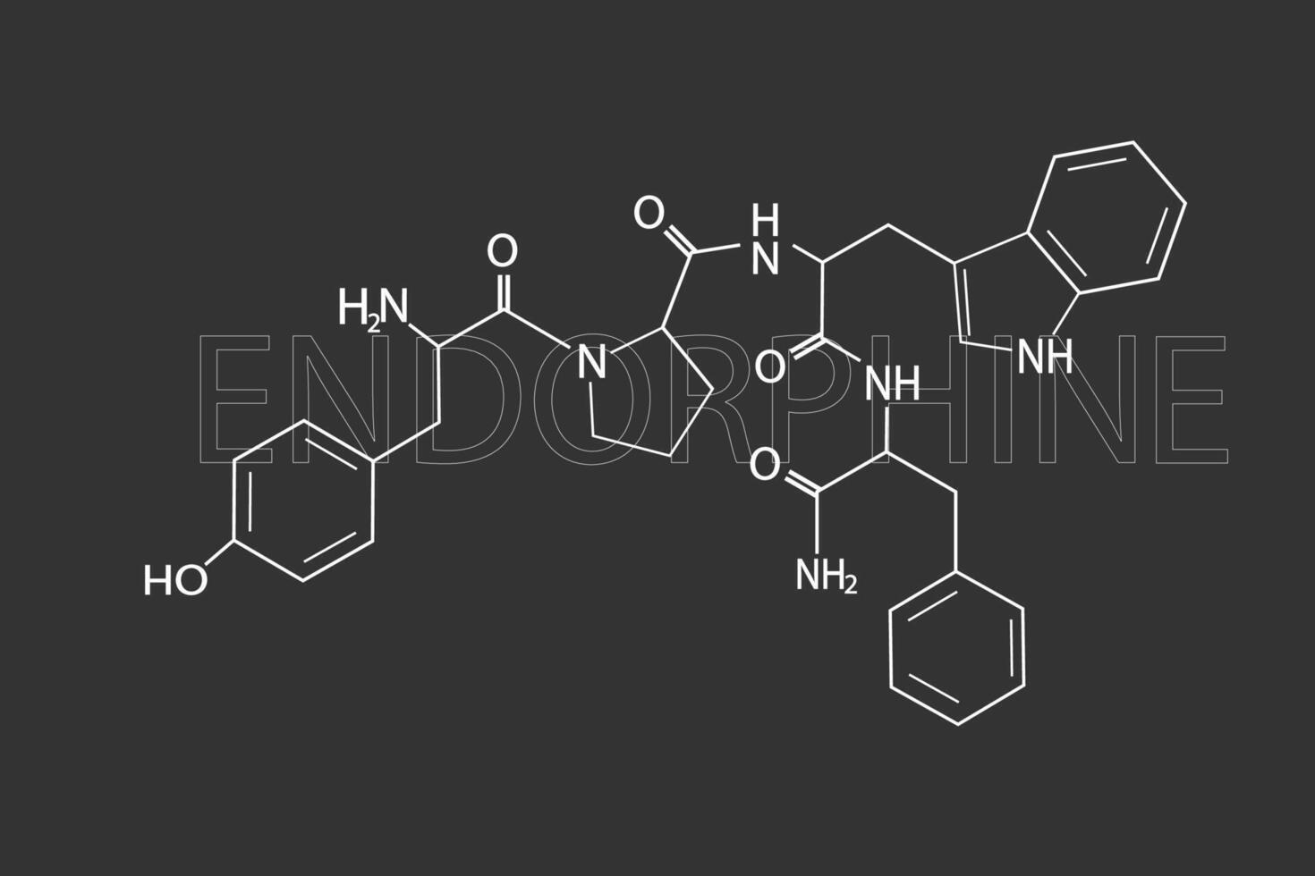 Endorphine molecular skeletal chemical formula vector