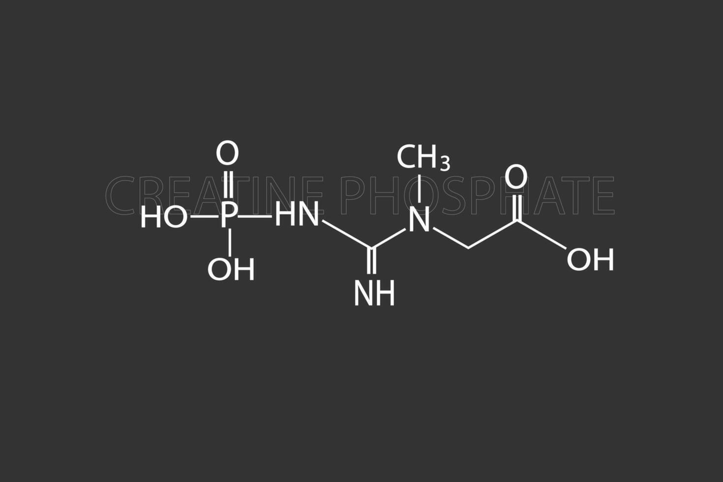 Creatine phosphate molecular skeletal chemical formula vector