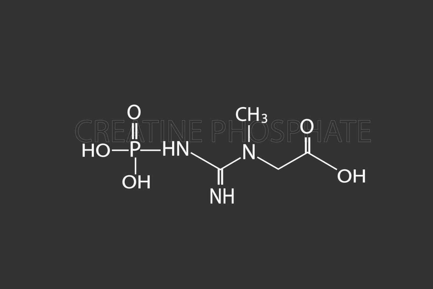 Creatine phosphate molecular skeletal chemical formula 37076527 Vector