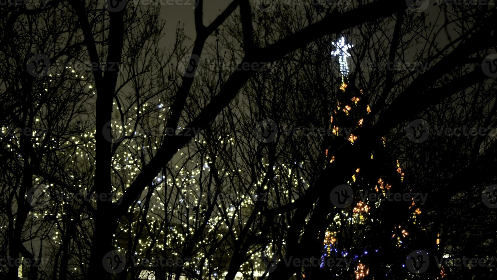 Beautiful city Christmas tree with garlands on background of dark night sky. Concept. Beautiful bright Christmas tree with garlands on cloudy winter day photo
